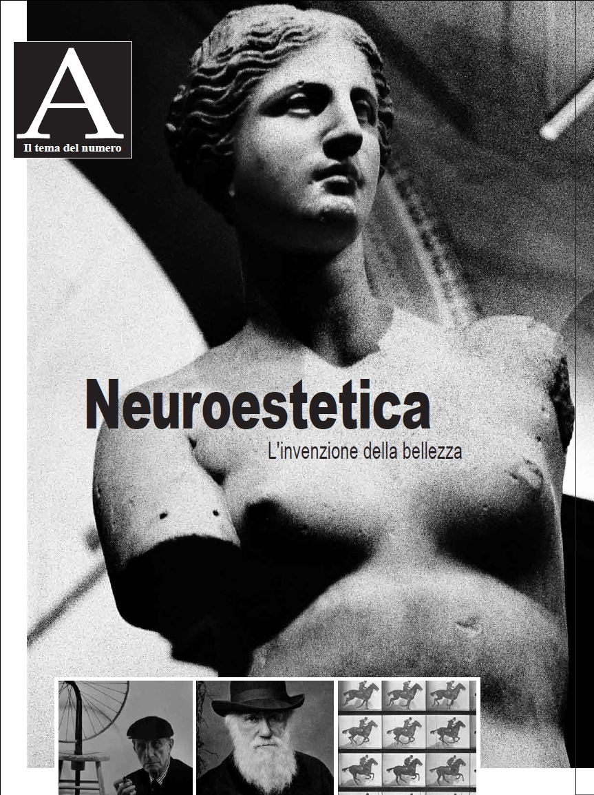 neuroestetica13